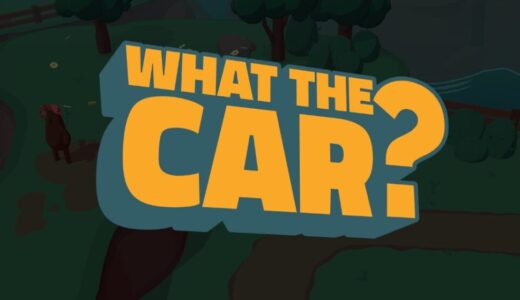 What the Car?